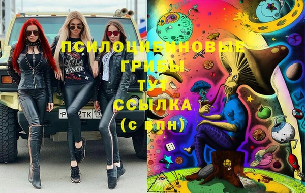 прущая мука Абаза