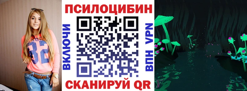 Псилоцибиновые грибы Psilocybine cubensis  Торопец 